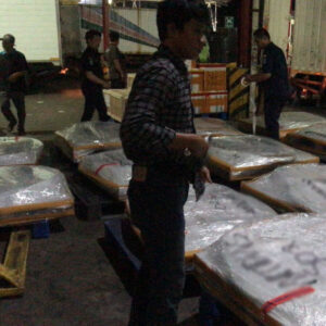 WhatsApp Image 2023-08-22 at 13.02.18_blur